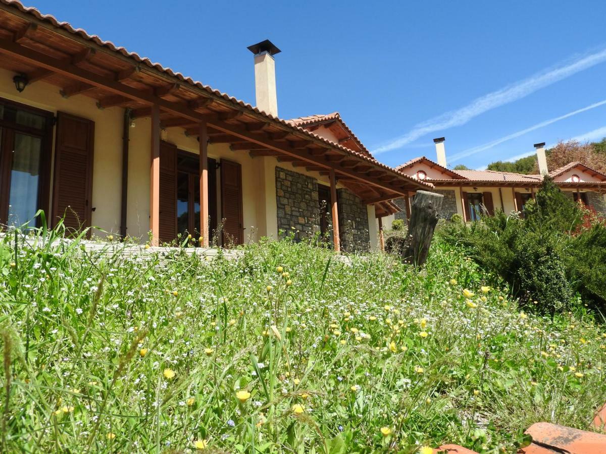 Agropoli Hotel Nimfasia Luaran gambar