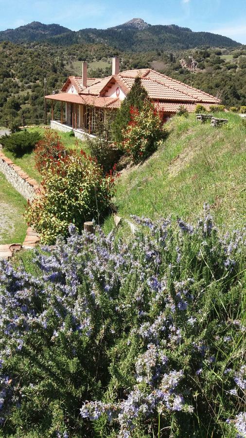 Agropoli Hotel Nimfasia Luaran gambar
